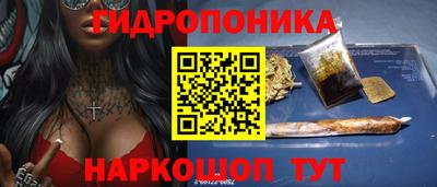 стаф Бийск