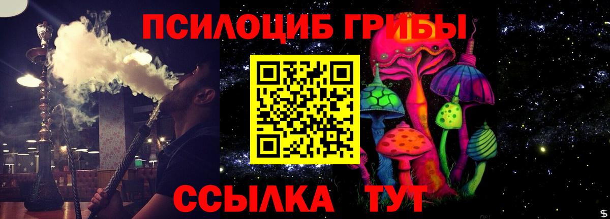 Кировск  Псилоцибиновые грибы ЛСД  Вход с VPN  Галлюциногенные грибы Psilocybe 